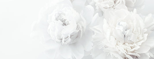 Il bianco