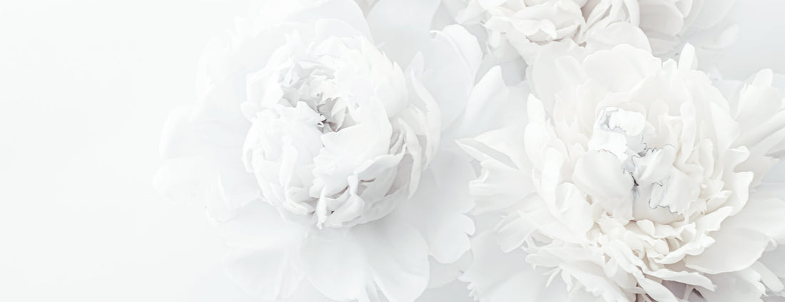 Il bianco